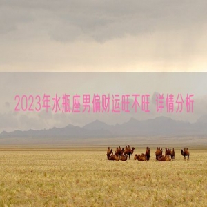 2023年水瓶座男偏财运旺不旺 详情分析