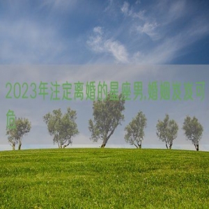 2023年注定离婚的星座男,婚姻岌岌可危