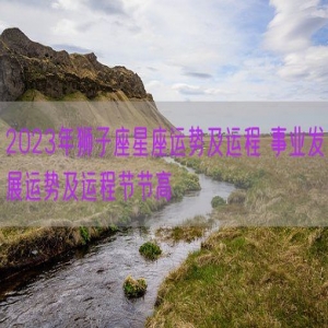 2023年狮子座星座运势及运程 事业发展运势及运程节节高