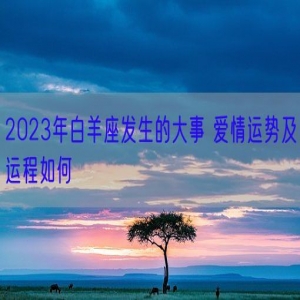 2023年白羊座发生的大事 爱情运势及运程如何