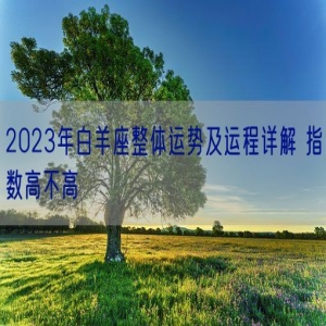 2023年白羊座整体运势及运程详解 指数高不高