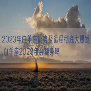 2023年白羊座运势及运程彻底大爆发,白羊座2023年会翻身吗