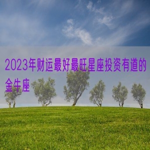 2023年财运最好最旺星座投资有道的金牛座