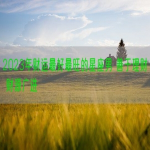 2023年财运最好最旺的星座男 善于理财 财源广进