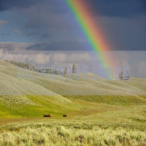 2023年运势及运程上升的星座