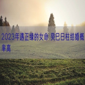 2023年遇正缘的女命 癸巳日柱结婚概率高