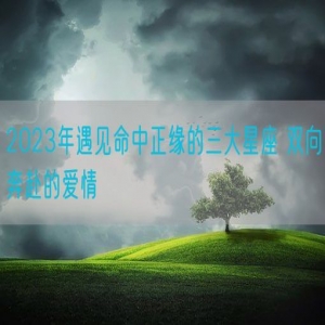 2023年遇见命中正缘的三大星座 双向奔赴的爱情