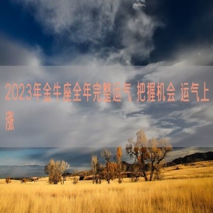 2023年金牛座全年完整运气 把握机会 运气上涨