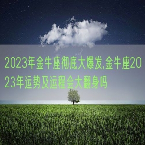 2023年金牛座彻底大爆发,金牛座2023年运势及运程会大翻身吗