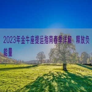 2023年金牛座提运指南春季详解  释放负能量