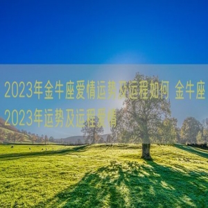 2023年金牛座爱情运势及运程如何 金牛座2023年运势及运程爱情