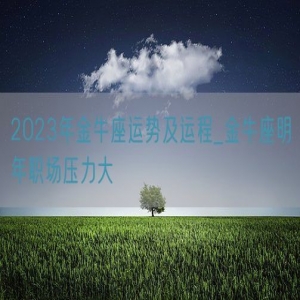 2023年金牛座运势及运程_金牛座明年职场压力大