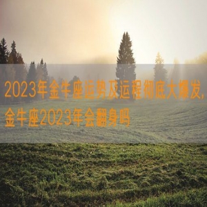 2023年金牛座运势及运程彻底大爆发,金牛座2023年会翻身吗