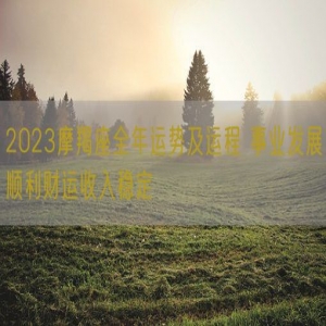 2023摩羯座全年运势及运程 事业发展顺利财运收入稳定