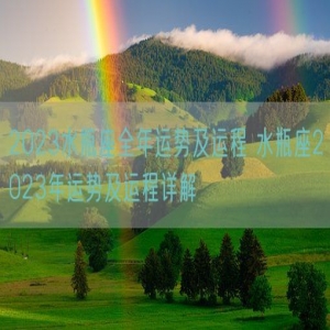 2023水瓶座全年运势及运程 水瓶座2023年运势及运程详解