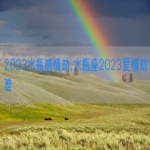 2023水瓶感情劫 水瓶座2023爱情劫难