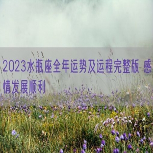 2023水瓶座全年运势及运程完整版 感情发展顺利