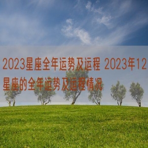 2023星座全年运势及运程 2023年12星座的全年运势及运程情况