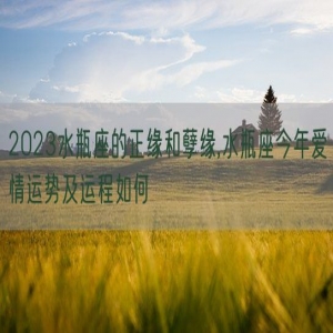 2023水瓶座的正缘和孽缘,水瓶座今年爱情运势及运程如何