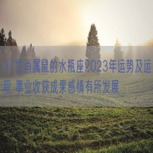 97生肖属鼠的水瓶座2023年运势及运程 事业收获成果感情有所发展