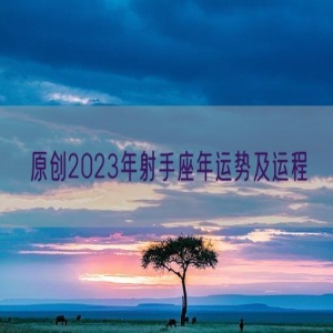 原创2023年射手座年运势及运程