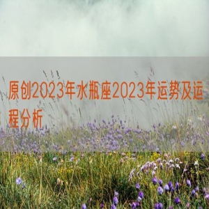 原创2023年水瓶座2023年运势及运程分析