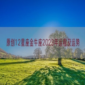 原创12星座金牛座2023年运程及运势