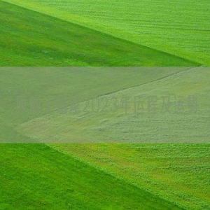 原创天蝎座2023年运程及运势