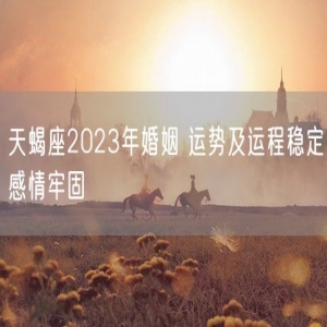 天蝎座2023年婚姻 运势及运程稳定感情牢固