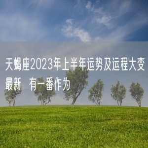天蝎座2023年上半年运势及运程大变最新  有一番作为