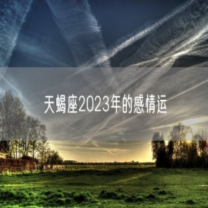 天蝎座2023年的感情运