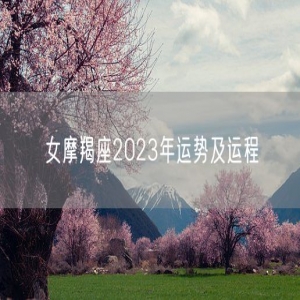 女摩羯座2023年运势及运程