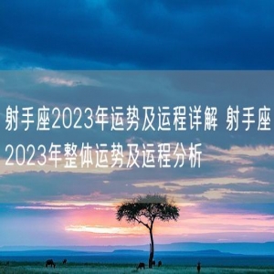 射手座2023年运势及运程详解 射手座2023年整体运势及运程分析