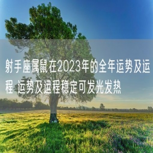 射手座属鼠在2023年的全年运势及运程 运势及运程稳定可发光发热