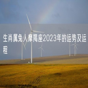 生肖属兔人摩羯座2023年的运势及运程