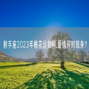 射手座2023年桃花运如何,爱情何时现身？