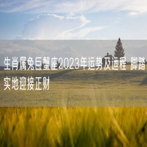 生肖属兔巨蟹座2023年运势及运程 脚踏实地迎接正财