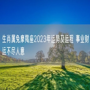 生肖属兔摩羯座2023年运势及运程 事业财运不尽人意