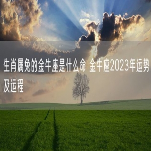 生肖属兔的金牛座是什么命 金牛座2023年运势及运程