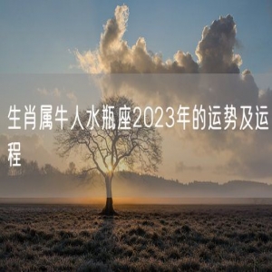 生肖属牛人水瓶座2023年的运势及运程