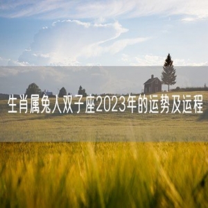 生肖属兔人双子座2023年的运势及运程