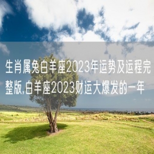 生肖属兔白羊座2023年运势及运程完整版,白羊座2023财运大爆发的一年