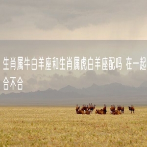 生肖属牛白羊座和生肖属虎白羊座配吗 在一起合不合