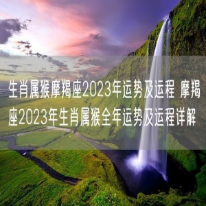 生肖属猴摩羯座2023年运势及运程 摩羯座2023年生肖属猴全年运势及运程详解