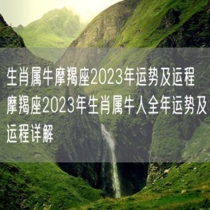 生肖属牛摩羯座2023年运势及运程 摩羯座2023年生肖属牛人全年运势及运程详解