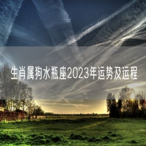 生肖属狗水瓶座2023年运势及运程