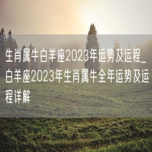 生肖属牛白羊座2023年运势及运程_白羊座2023年生肖属牛全年运势及运程详解