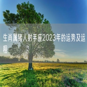 生肖属猪人射手座2023年的运势及运程