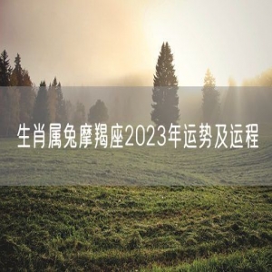 生肖属兔摩羯座2023年运势及运程