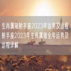 生肖属猪射手座2023年运势及运程 射手座2023年生肖属猪全年运势及运程详解